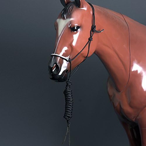 halterrrn Classic Equine Rawhide Noseband Halter