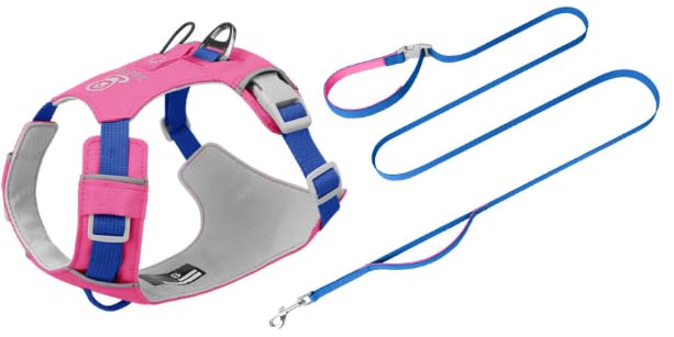 No Pull Dog Harness and Leash Set, Reflective Dog Harness, Rose Red XS