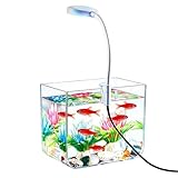 | Affichage Aquatique Immersif : Grâce à sa construction sans cadre et son verre haute transparence, cet aquarium panoramique offre un effet de vue complète à 360 degrés. Il établit un écosystème de bureau apaisant qui favorise la tranquillité et l'inspiration tout au long des activités quotidiennes.