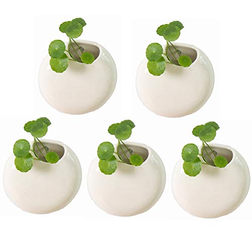 WUHUAROU 5 Stücke Keramik Hängen Pflanzer Wand Pflanzer Wandvasen Pflanzgefäße hängen Blumentopf Wasser Pflanzen Vase Pflanzenbehälter für Home Office Dekor Weiß Cover