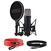 Rode NT1 5th Gen Studio Microphone Black with Straight Microphone Stand #1