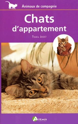 Chats d'appartement, animaux de compagnie Joost, Thekla