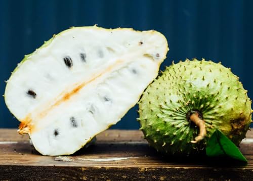 10+ Soursop Fruit Seed for Planting-Non-GMO Heirloom Plant Seeds Garden