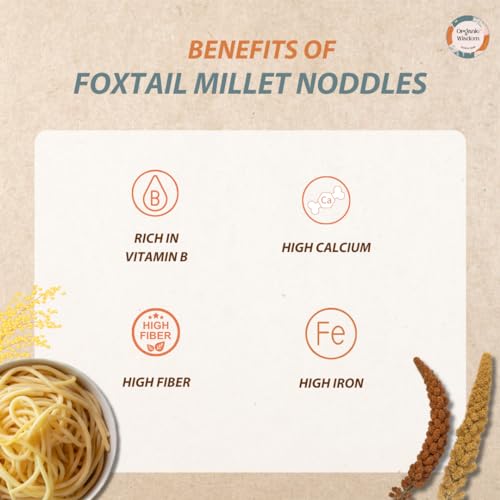 Organic Wisdom-Back to Roots Foxtail Noodles | 384 gm (Contains 2 Packs) | No MSG, No Maida, No Junk | Not Fried - Sun Dried | Rich in Protein & Vit B