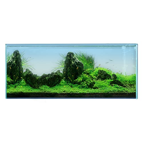 Image of Landen 120P 72.2 Gallon Rimless Low Iron Aquarium Fish Tank, W47.2 x D19.7 x H19.7 (120x50x50cm) 12mm Thickness with Black Nano Foam Leveling mat Included