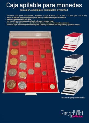 Caja de monedas de 24 mm Prophila con 80 divisiones angulares e inserto azul 5