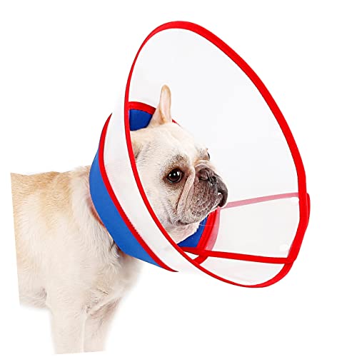 Collier élisabéthain transparent Angoily pour protéger le chien à la maison durant ses soins