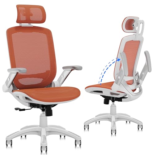 GABRYLLY Ergonomic Office Chair, High Back Home Desk Chair with