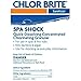 Leslie's Chlor Brite Granular Chlorine Spa Shock 2 lbs LPM 18754