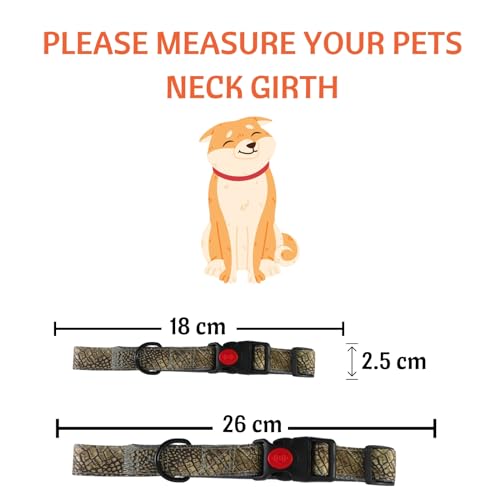 Image of Emily Pets Dog Collar with Safety Locking Buckle, Adjustable Soft Breathable Comfortable Nylon Pet Collar for Small, Medium Dog & Puppy (Color May Vary)