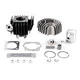 41mm Zylinderkopf Kolben Dichtungs Kit für Suzuki JR50 1978-2006 LT50 Quadrunner 1984-1987 LT-A50 Quadmaster 2002-2005 Top End Rebuild Set 49cc Standard Bohrung 41mm 12mm Kolbenstift Zylinder