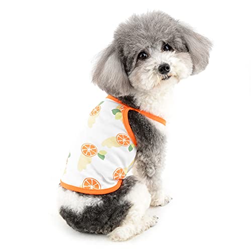 Zunea Maglietta per Cani Piccola Taglia Estivo