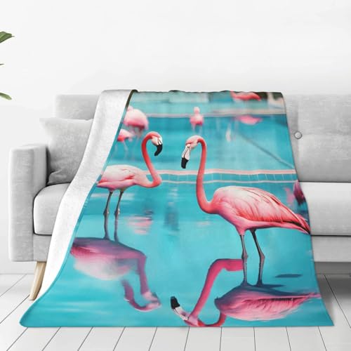 Couverture polaire légère de flanelle pour cocooning sur canapé et lit