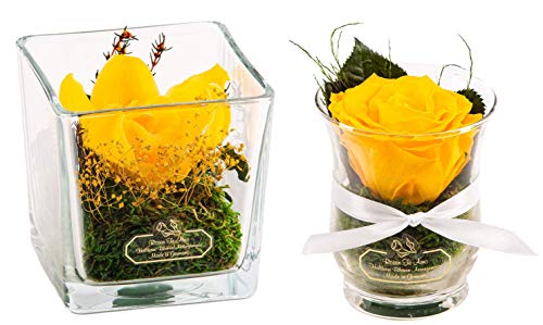 Rosen-Te-Amo, Cadeaus voor haar || Valentijnsdag geconserveerde eeuwige roos in glas geel | geurend | handgemaakt met echte folie in fijne geschenkdoos || Infinity Rozen: decoratie en geschenken voor - Image 6