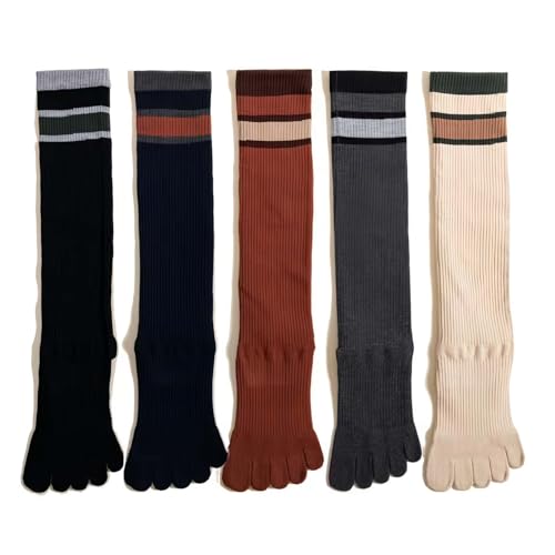 [TIOOKA] K\bNX 5{w nC\bNX ~ fB[X C  p ʋC R X|[c O 5{w\bNX fB[X jO |eB o[ _X (lCr[i1j)