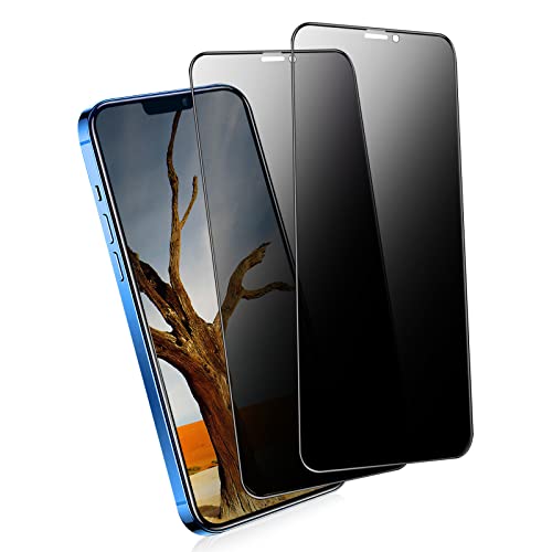 【覗き見防止】 iPhone12 mini ガラスフィルム 【2枚】 iPhone12ミニ ガラスフィルム のぞき見防止 アイフォン12mini 保護フィルム 保護シート 覗き見 iPhone12mini ガラス保護フィルム のぞき見 【全面保護/秒で貼り付け/見えないフィルム】