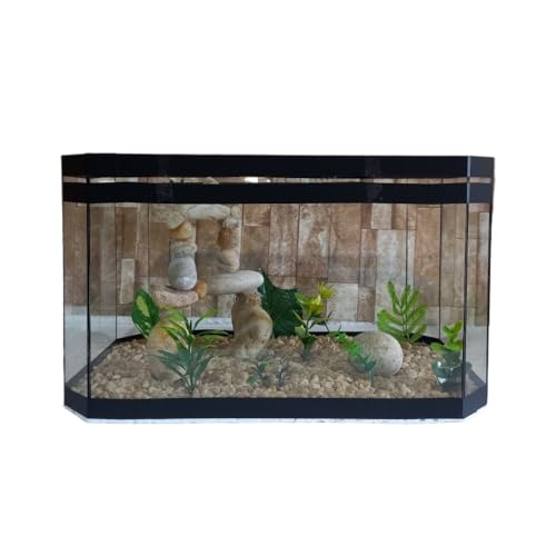 Aquário Beteira Oval 35cm Para Peixe Betta Decorado Ornamentação Exclusiva