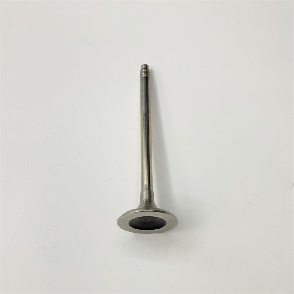 11348621264 Exhaust Valve AUTO-GETHER