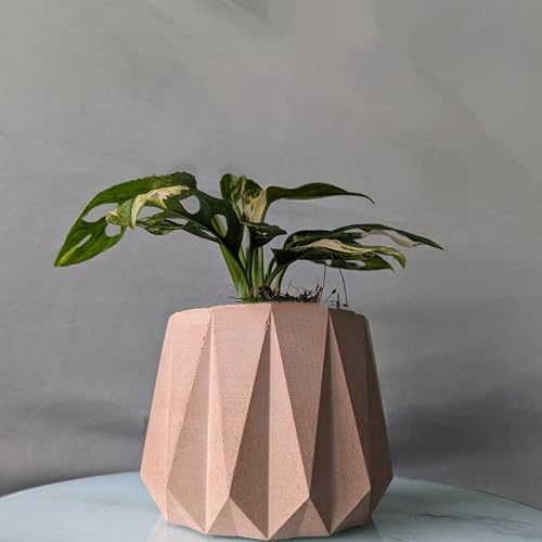 Image of Little Jungle X CuteCrete Sage Concrete Planter For 3 inch - 4 inch Pots (Pink)