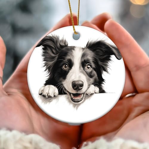 Peeking Border Collie Weihnachtsbaumschmuck Hund und Katze Liebhaber Tier Rund Porzellan Anhänger Keramik Porzellan Hängende Weihnachtskugel Geschenk für Urlaub Weihnachtsbaum Party Dekorationen