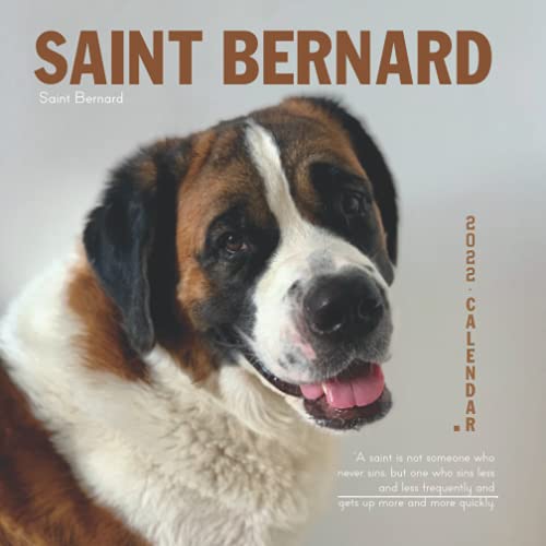 Saint Bernard Al Mejor Precio De Amazon En Savemoney Es