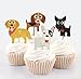 24 Dog Cupcake Toppers & Wrappers - Red Fox Tail