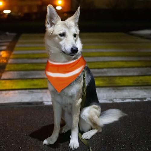Reflektierendes Hundehalstuch, Dreiecks Hundebandana, Lätzchen Verstellbarer Haustierschal für Nächtliche Spaziergänge Camping Jagd Reisen
