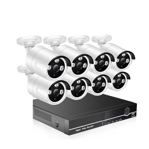 Ruiseawing 8CH 4MP POE DVR-Videoüberwachungsset