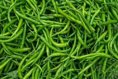 Green Chilli Seeds(Mirchi seeds,lonka bij) Planting In Your Home Garden-180 seeds (B0CM39CRT2) Amazon Price History, Amazon Price Tracker