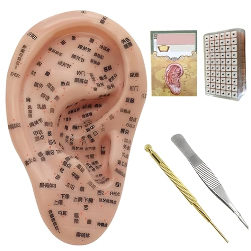 Kit de acupuntura con semillas para oídos, kit de agujas de acupuntura, semillas para oídos para bajar de peso, semillas para oídos de acupuntura, que incluye modelo de oreja de 7,5 pulgadas