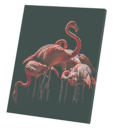 Tableau flamands roses toile imprimée 40x50cm poster déco