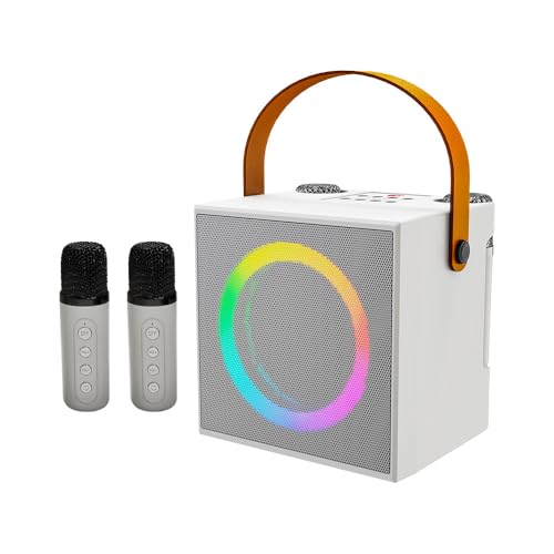 Machine à karaoké KTV avec haut-parleur portable et micros sans fil BT