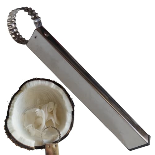 Lylence Coconut Grater Shredder Hand, Mini Long Sturdy Stainless Steel Tool