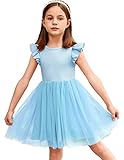 Arshiner Little Girls Fluffy Dress Toddler Short Tutu Dress Party Tulle Sundress (Light Blue, 5T)