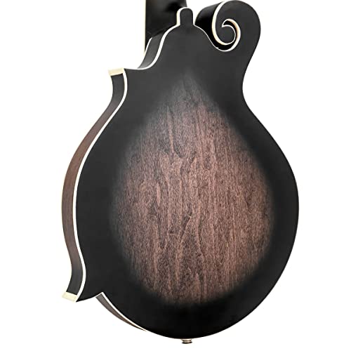 Gold Tone F-6: F-style Mando-Guitarwith Pickup and Hard Foam Case | Manditar tuned EADGBE - Image 5