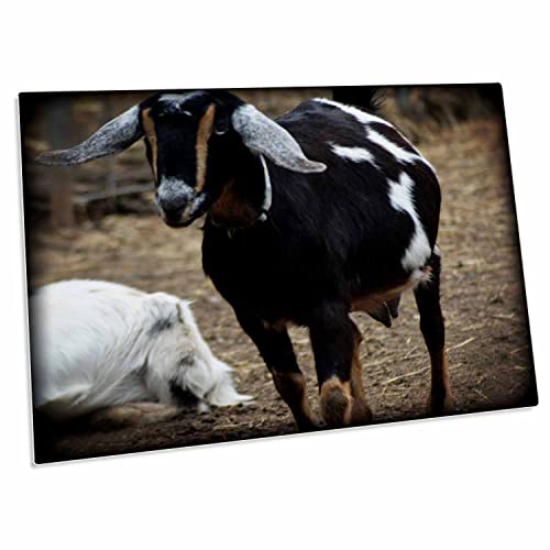 3dRose Black Goat con base antideslizante 58x40 cm