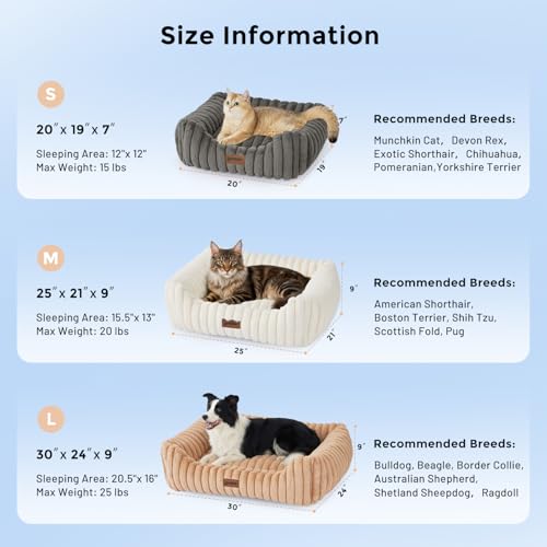 Small Dog Beds for Small Dogs - Washable Cat Beds for Indoor Cats, Rectangle Orthopedic Puppy Bed with Fluffy Removable Cover, 20x19x7inches, Grey - Image 3