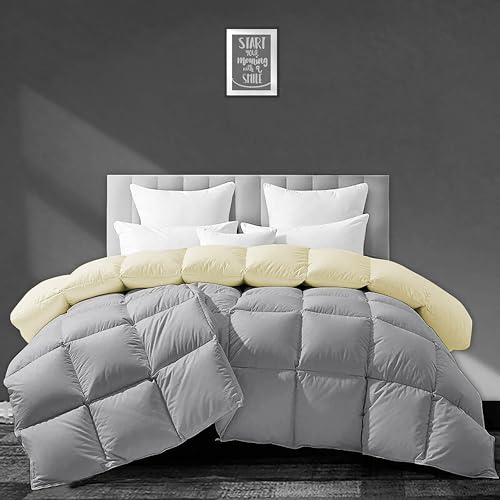 Image of Luxurious 500 GSM Winter Comforter Single Size (60 inchX90 inch) - Premium Collection Heavy Winter Comforter 500 GSM Microfiber Fill - Duvet /Blanket Single Size - Ivory /Silver Grey Color