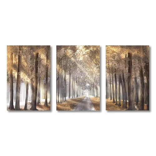 Affiches murales impressions sur toile pour salon, paysage forêt charmant et lumière dorée 60x90