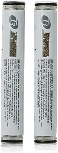 T3 Source Hand-Held Showerhead Replacement Water Filter (Pack of 2)