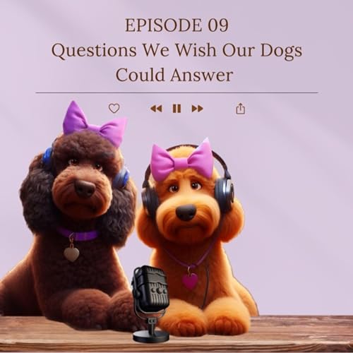 Questions we wish our dogs could answer