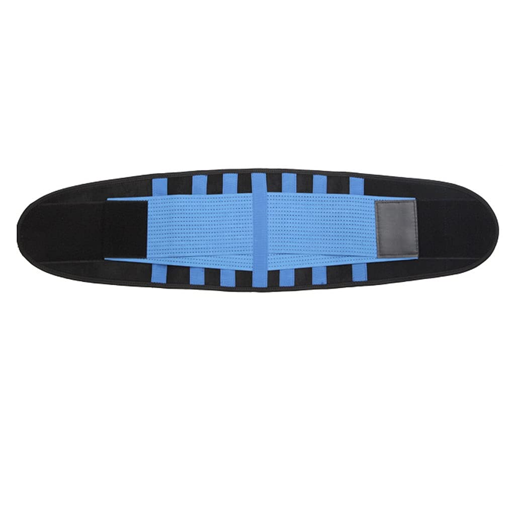 Alivio del cinturón de soporte lumbar para el dolor de espalda, hernia de disco, ciática, escoliosis Diseño de malla transpirable Correas de soporte ajustables Brace para la parte inferior de la