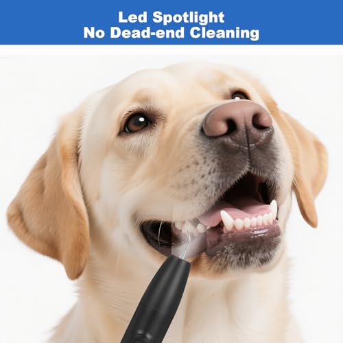 Image of Dog Teeth Cleaning Kit,Dogs Tooth Brushing Kit with Light,3 Modes Doggie Toothbrush, Dog Plaque and Tartar Remover for Teeth,Low Noise Pet Teeth Cleaner,Dark Black