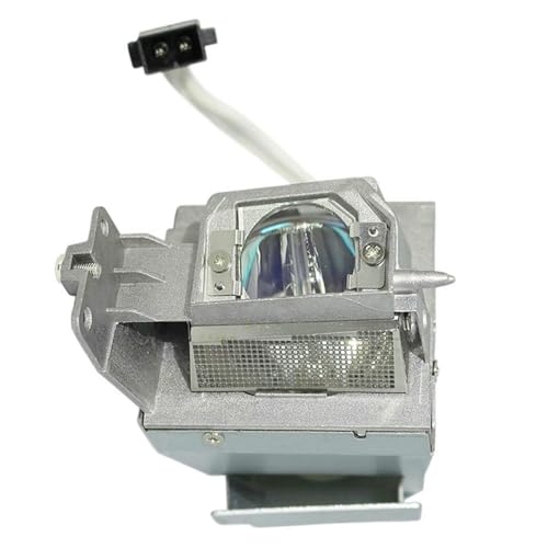 Accessoires de projecteur NP40LP pour la réparation de lampe VE303G