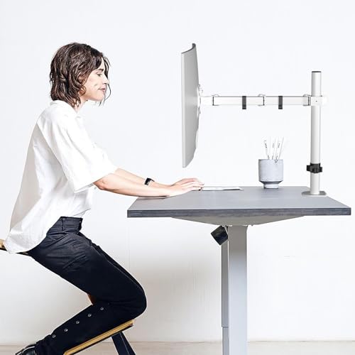 Pholiten モニターアーム MD97421W