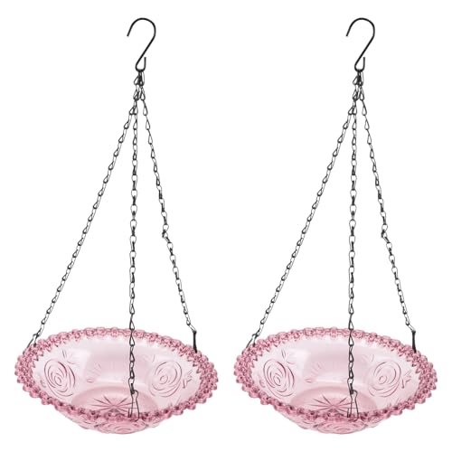 Albapilix ̉Ԃ̌`݂艺̒̉aẢOp̒̉apiACgp[v