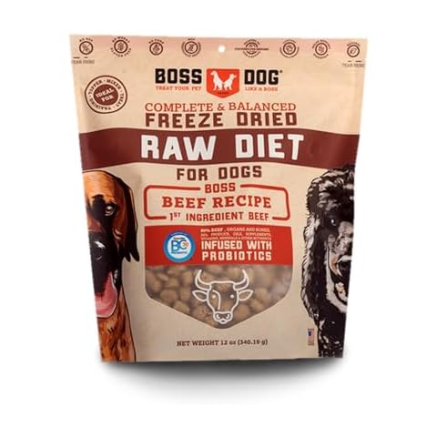 Complete & Balanced Freeze Dried Raw Diet for Dogs, Beef Recipe, 12 oz Bag Cover