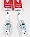 Honda 98079-5587G Pack of 2 Spark Plugs (ZFR5F)