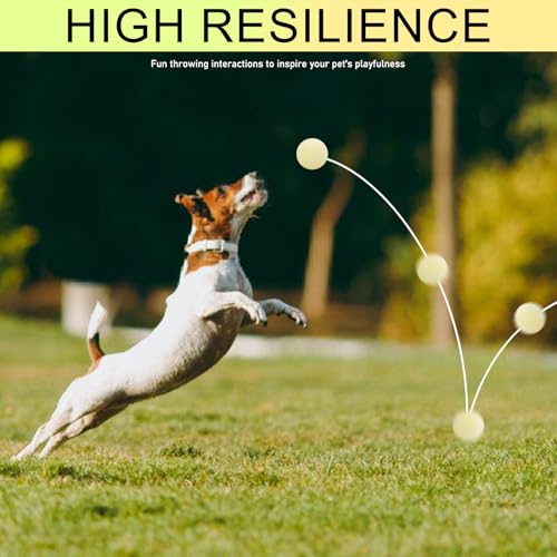 GBKDQQ 6 Stück Glow In The Dark Hundeball, 6cm Leuchtende Gummi-Hundebälle Unzerstörbar Hundeball, Hund Interaktive Hund Ball mit hoher Sprungkraft für kleine, mittlere und große Hunde