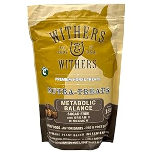 Withers & Withers Sugar-Free Horse Treats – Organic Cinnamon with Oat Bran Horse Cookies, Goat Treats 16 Oz – Humane Plant-Based Ingredients